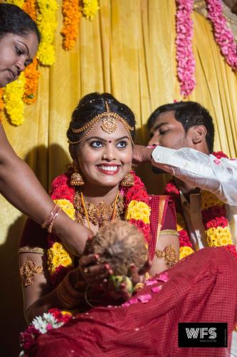 Photos by WildFramesStudio